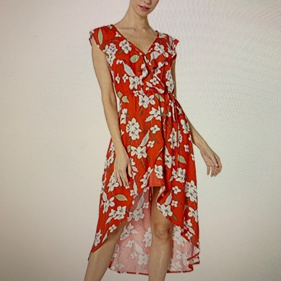 Jack by BB Dakota dress - Picture 4 of 5